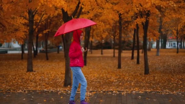 穿着红色夹克 带着明亮雨伞在秋天公园散步的女人的相机跟踪镜头 潮湿的雨天 秋天的季节 金黄的叶子 — 图库视频影像