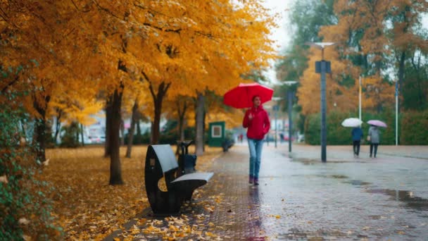 Wanita Memegang Payung Berjalan Sendirian Bawah Hujan Kuning Oranye Taman — Stok Video