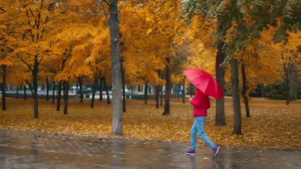 Frau Versteckt Sich Unter Rotem Regenschirm Und Läuft Regnerischen Tag — Stockvideo