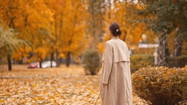 Sonbahar Parkında Parlak Turuncu Yapraklı Gülümseyen Neşeli Çekici Esmer Kadın — Stok video
