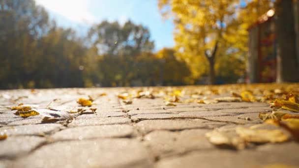 클로즈업 떨어진 노란색 나뭇잎 슬래브에 놀이터와 어린이를위한 명소와 공원에서 — 비디오