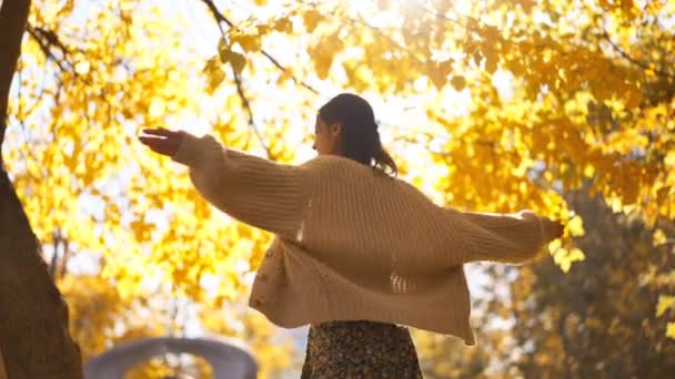 Retrato Linda Menina Feliz Bonita Ensolarado Parque Outono Mulher Girando — Vídeo de Stock