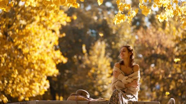 ドレスを着て屋外で編んだ美しい笑顔の女性の秋の肖像画 暖かい晴れた日に黄色い葉を持つ木の背景に公園の枝の上に座っている少女 — ストック動画
