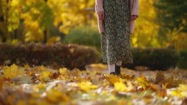 Sarı Yapraklı Kahverengi Eski Zarif Çizmeleri Olan Kadın Bacakları Sonbahar — Stok video