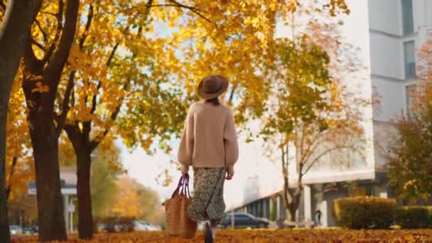 身穿长针织毛衣或羊毛衫的快乐微笑的女人 带着金黄色的树叶在枫树园散步 自然中的女人在温暖的秋天 积极的生活方式 外面的雌性3 女孩在秋天的公园散步 — 图库视频影像