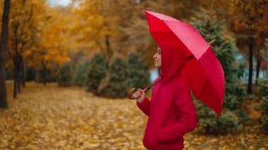Yağmurlu bir günde, sonbahar parkında parlak şemsiyeli kırmızı ceketli bir kadının yakın plan fotoğrafı. Yağmurlu hava, sonbahar mevsimi, altın yapraklar