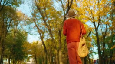 Sonbahar şehir parkında günbatımı güneşine karşı sarı yapraklı, arkadan görünüşlü şık bir kadın. Elinde bir fincan kahveyle şapkalı çekici bir kız. Sıcak bir sonbahar gününde yol boyunca parkta yürüyor.