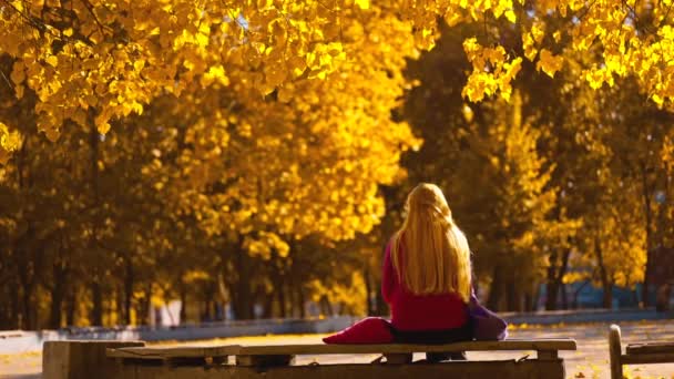 Widok Tyłu Kobieta Siedzi Gałęzi Jesiennym Parku Jasnymi Liśćmi Słoneczny — Wideo stockowe