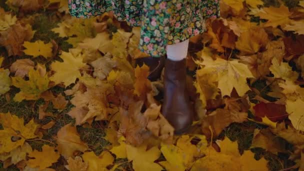 Povトップビュー 黄色い葉の背景に茶色のヴィンテージレザーエレガントなブーツで女性の足 ファーストパーソンビュー 秋のシティパークでリラックスした女性 晴れた秋の日とキックの葉 — ストック動画