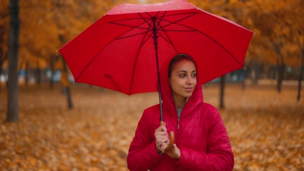 雨の日の秋の公園で明るい傘で赤いジャケットの女性のショットを閉じます 黄金の葉 — ストック動画