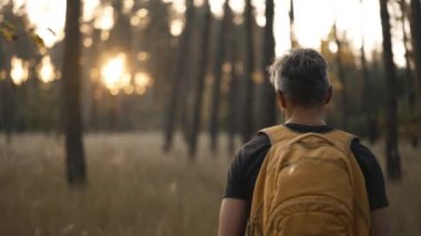 Yavaş çekim yetişkin gri saçlı, gözlüklü, sarı sırt çantalı adam sonbahar ormanında yol kenarında yürüyor. Sırt çantalı erkek yürüyüşçü yüksek otlarla ağaçların arasından yukarı çıkıyor. Seçici odaklanma. Ukrayna 'da seyahat