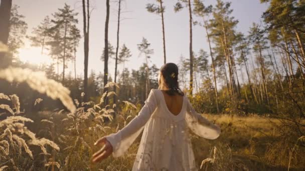 白い光のドレスの美しい幸せな女性は 背の高い乾いた草の黄金のスパイレットの間に秋の森を楽しく歩いています 素晴らしい日光で魔法の秋の森でリラックスするロマンチックな少女 — ストック動画