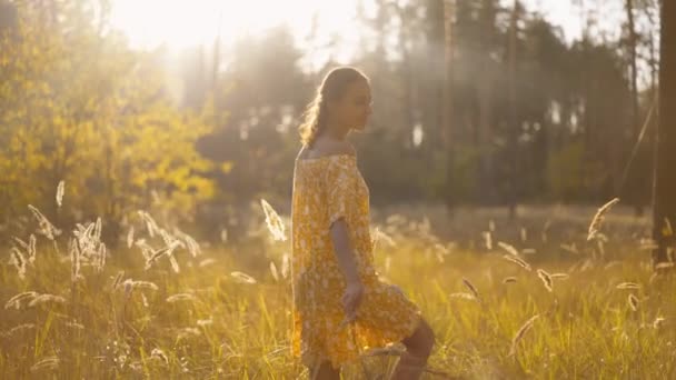 Portrait Attractive Brunette Woman Walking Park Forest Touching Grass Spikelets — Stock Video