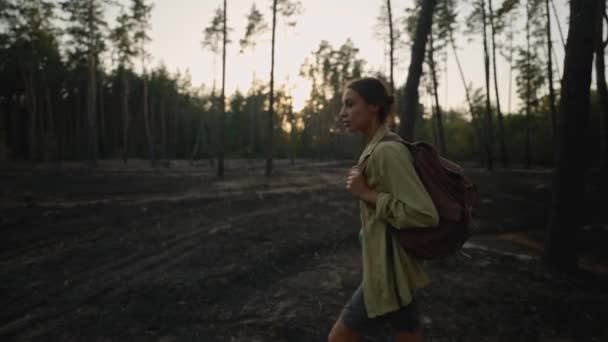 Triste Escursionista Donna Con Zaino Nel Bosco Dopo Gli Incendi — Video Stock