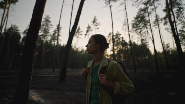 Triste Escursionista Donna Con Zaino Nel Bosco Dopo Gli Incendi — Video Stock
