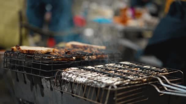 グリルティーディッシュバーベキュー 炭の食べ物でピクニック ストリートフードグリル マリネしたチキンと野菜をグリル 火事で焼いたBbq肉 ローストミートBbqグリル — ストック動画