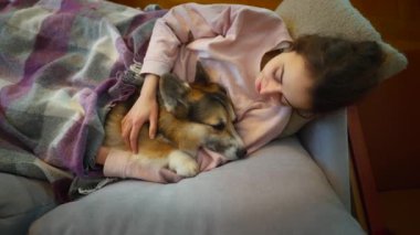 Sevecen kadın köpek sahibi kanepeye uzanmış, şirin, komik Galli Corgi köpeğiyle rahat bir odada. Evcil hayvanı olan bir kız, battaniyeli. Uykulu köpeği okşayan şefkatli bir kadın. Dört bacaklı bir arkadaşla yaşıyor..