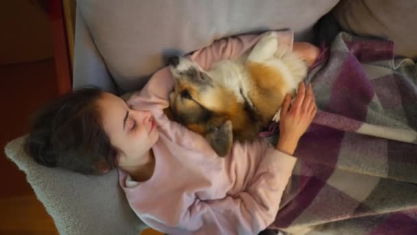 温柔体贴可爱的狗主人和她可爱有趣的腊肠狗躺在沙发上舒适的房间里 带着宠物狗 毛毯的女孩 多情的女人抚摸着困倦的狗 和四条腿的朋友一起生活 — 图库视频影像