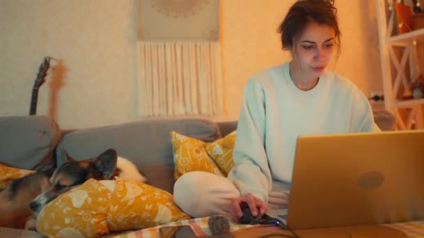 Ung Vacker Kvinna Sitter Soffan Hemma Med Laptop Arbetar Eller — Stockvideo