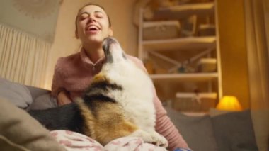 Nazik genç bir kadın yatakta sevimli Corgi köpeğini kucaklıyor ve okşuyor. Kız evcil hayvanla rahat bir evde vakit geçiriyor. Evde kalmak, hayvanlarla ev hayatı