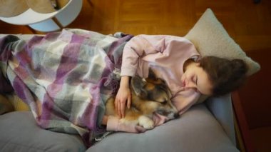 Evcil hayvanını kucaklayan genç bir kadının portresi. Şirin Galli Corgi köpeği sahibinin yanında dinleniyor, evde birlikte vakit geçiriyorlar. Köpek ve insanla arkadaşlığı kavra, tatlı anlar, rahatlatıcı, kaygısız