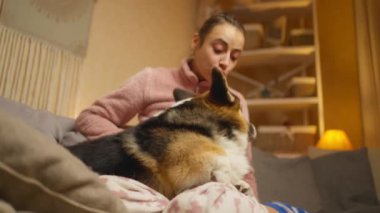 Nazik genç bir kadın yatakta sevimli Corgi köpeğini kucaklıyor ve okşuyor. Kız evcil hayvanla rahat bir evde vakit geçiriyor. Evde kalmak, hayvanlarla ev hayatı