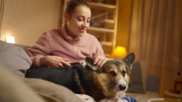 一个年轻女人抱着她的宠物的画像 可爱的威尔士科尔吉犬和主人在一起休息 在家里呆着 与狗和人类的概念友谊 可爱的时刻 无忧无虑 — 图库视频影像