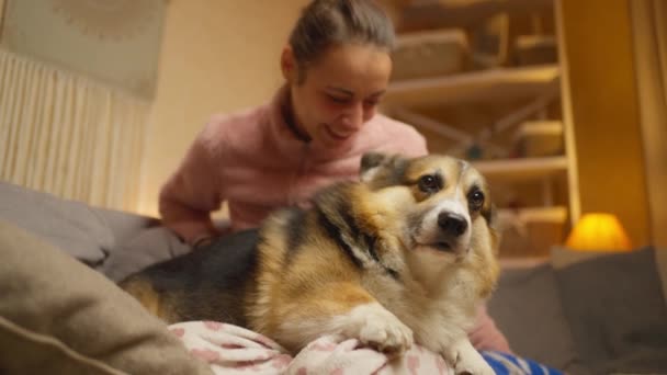 Τρυφερό Είδος Νεαρή Γυναίκα Αγκαλιάζει Και Εγκεφαλικά Επεισόδια Χαριτωμένο Σκυλί — Αρχείο Βίντεο