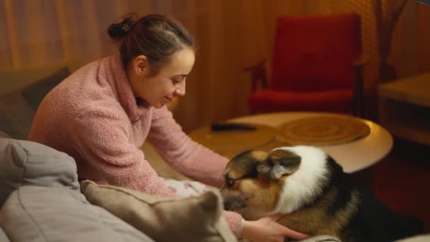 즐거운 소파에 그녀의 귀여운 재미있는 웨일스어 Corgi 동물과 레저와 생활에 — 비디오