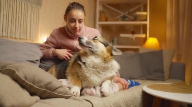 Komik bir köpekle kanepede oturan, onunla konuşup oynayan şefkatli bir kadın. Evde mısır gevreği var. Evcil hayvanlarla arkadaşlık, birlikte oyunlar ve eğlence. insan hayatında evcil hayvanlar