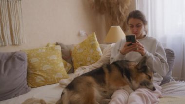 Gevşemiş bir kadın, Galli Corgi 'si bacaklarında huzur içinde kestirirken akıllı telefonuyla rahat bir ev sahnesi yaratıyor..