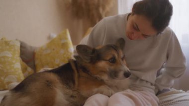 Genç kadın ve onun Galli Corgi 'si rahat evlerinde kanepede hassas anlar paylaşıyorlar. Köpek bacaklarının üzerinde yatıyor, onu sevgiyle okşuyor. Onların bağları barışçıl ve sevgi dolu atmosferde parlar..