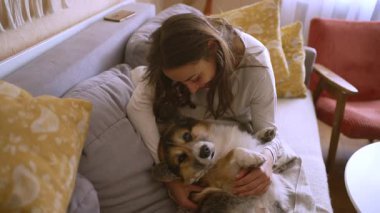 Kadın, köpek ve evcil hayvan aşk, sevgi ve güven için oturma odasında. Yavru köpek, eğitim ve Galce Corgi 'yi evlat edinmek ya da hayvan, sahibini kurtarmak ve en iyi dostu kucaklamak ve kucaklamak için.