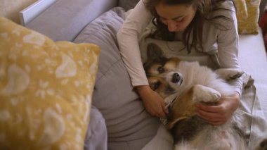 Kadın, köpek ve evcil hayvan aşk, sevgi ve güven için oturma odasında. Yavru köpek, eğitim ve Galce Corgi 'yi evlat edinmek ya da hayvan, sahibini kurtarmak ve en iyi dostu kucaklamak ve kucaklamak için.
