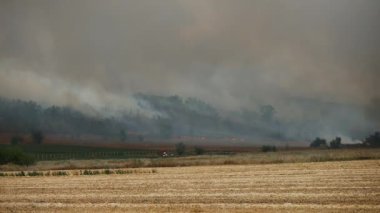 Yoğun siyah duman yükseldikçe alevler geniş tarlaları tüketir. Uzun süren kuraklık, yıkıcı yangınlara ve çevresel yıkıma yol açıyor..