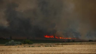 Yoğun alevler kuru tarlaları tüketir, gökyüzünü yoğun dumanla doldurur. Aşırı kuraklık tehlikeli yangınlara yol açar..