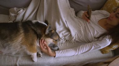Kadın, köpek ve evcil hayvan aşk, sevgi ve güven için oturma odasında. Yavru köpek, eğitim ve Galce Corgi 'yi evlat edinmek ya da hayvan, sahibini kurtarmak ve en iyi dostu kucaklamak ve kucaklamak için.