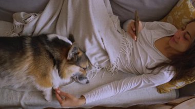 Üç renkli tatlı köpek Welsh Corgi evdeki oturma odasında kanepede narin bayan sahibiyle yatıyor. Kadın eli nazikçe evcil hayvanı okşuyor ve telefonu kaydırıyor