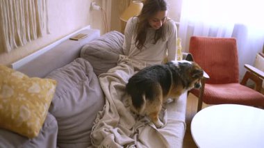 Üç renkli şirin köpek Welsh Corgi evdeki kanepeden atlıyor ve hassas bayan sahibiyle oturuyor. Mutlu güzel kadın kameraya bakıyor, gülümsüyor ve gülüyor.