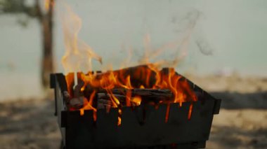 Göl kıyısında yakacak odunları olan barbekü ızgarası. Parlak alevler yükseliyor, açık hava yemekleri ve yaz pikniğine hazırlanıyor.