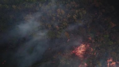 Hava görüntüleri orman ve tarlalarda hızla yayılan bir orman yangınını gösteriyor. Yoğun siyah duman, aşırı kuraklıktan beslenen araziyi kaplıyor.