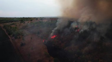 Kuru tarlaları ve ormanları tüketen büyük bir orman yangınını bir dron yakalıyor. Şiddetli kuraklık nedeniyle alevler yayıldıkça kalın siyah duman yükseliyor