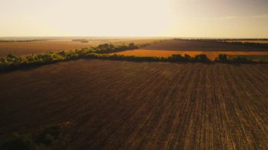 Gün batımında ekilmiş tarlaları altın ışıkla kaplı sakin kırsal manzara. Hasat mevsimi, Ukrayna 'da sonbahar. Çiftlik arazisi ve tarım. güzel doğa