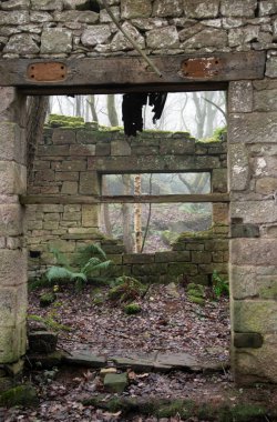 Erkek, dokuz bayanın taş çemberine doğru yürür sisin içinde toplanır.