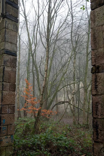 Πόρτα Που Οδηγεί Στην Ομίχλη — Φωτογραφία Αρχείου