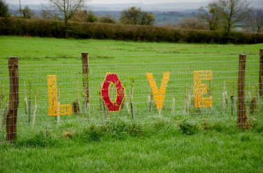 Glastonbury Tor yakınlarındaki Somerset 'te aşk işareti