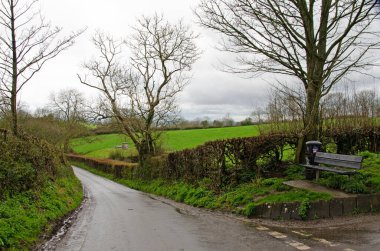 Somerset yolu Glastonbury Tor 'a çıkıyor.