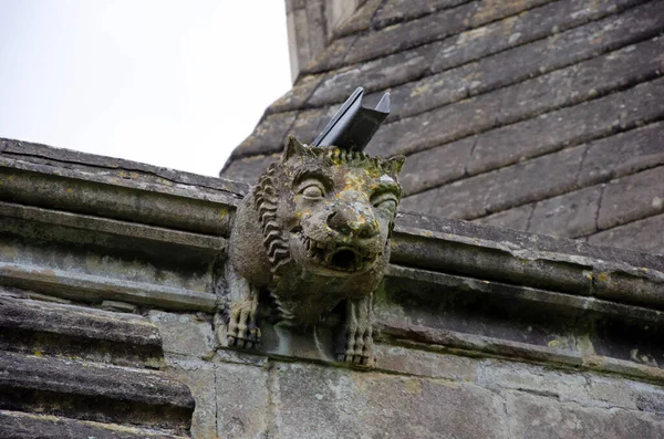 Närbild Gargoyle Glastonbury Abbey — Stockfoto