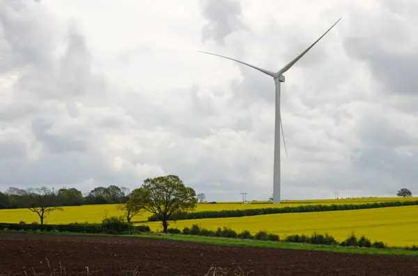 stock image Wind turbines with rapeseed field in the foreground