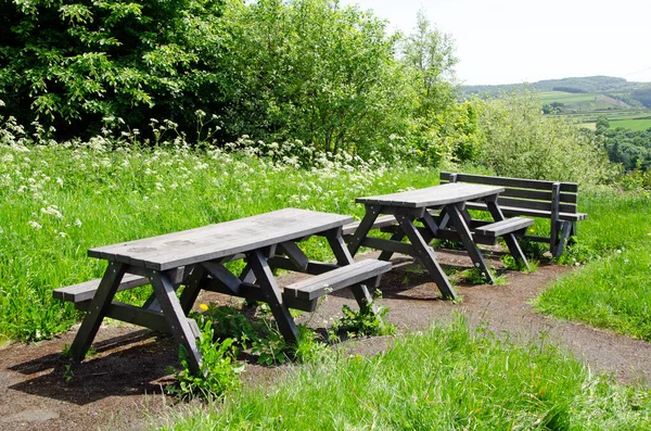 田舎のピクニックベンチと低木 — ストック写真